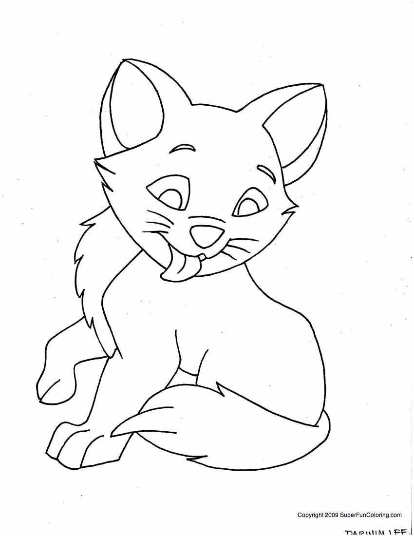 Cats 12
